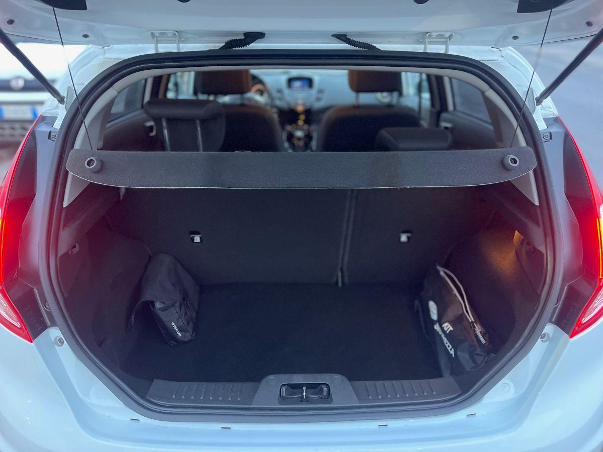 FORD - Fiesta - 1.4 5p. Bz. GPL Black & White Edition