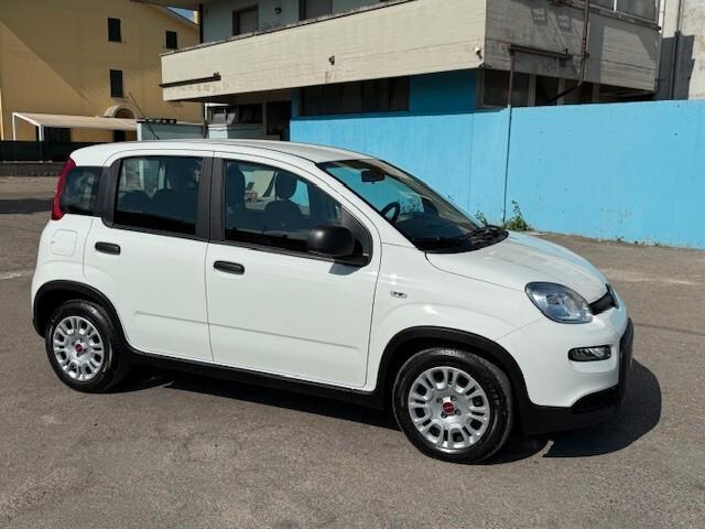 Fiat Panda 1.0 Hybrid neopatentati