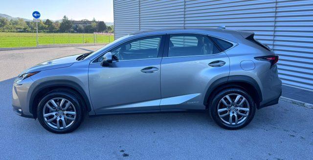 LEXUS NX 300 Hybrid NX300h 4x4 AUTOMATICA AWD 4WD TETTO LED