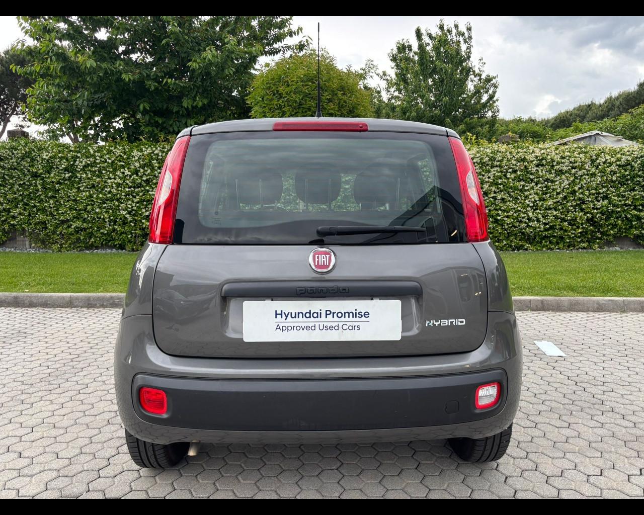 FIAT Panda III 2021 - Panda 1.0 firefly hybrid s&s 70cv 5p.ti