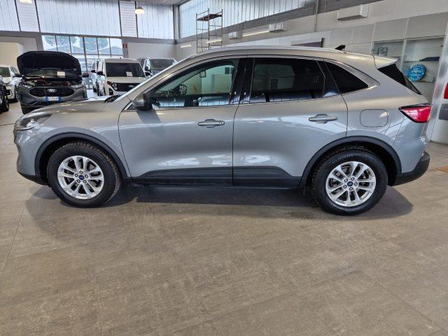 FORD Kuga 1.5 EcoBlue 120 CV 2WD Titanium