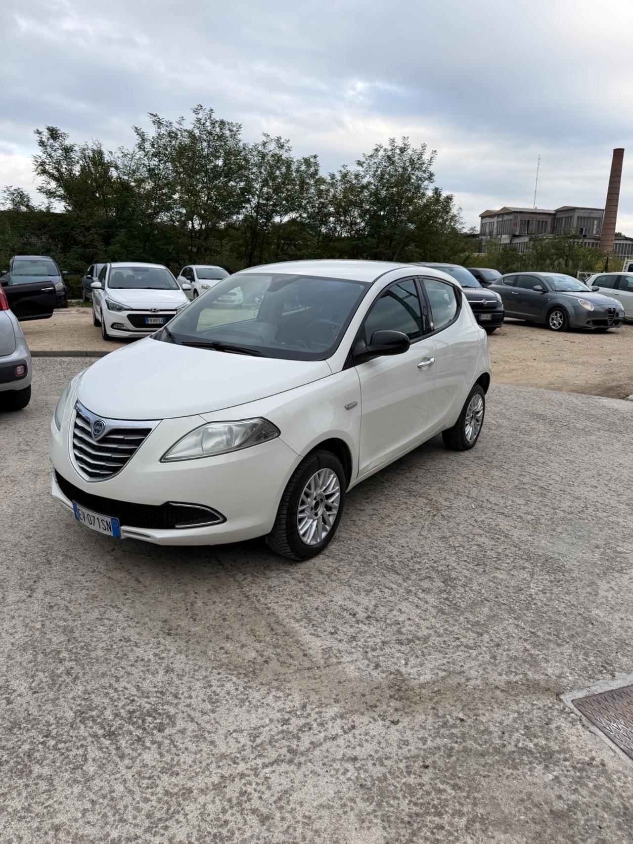 Lancia Ypsilon 0.9 TwinAir 85 CV 5 porte Metano Ecochic Platinum