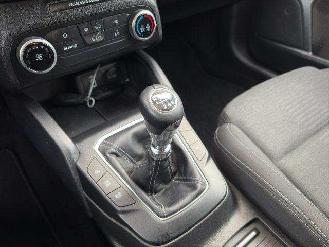 FORD Focus ACTIVE 1.5 EcoBlue 120 CV Business