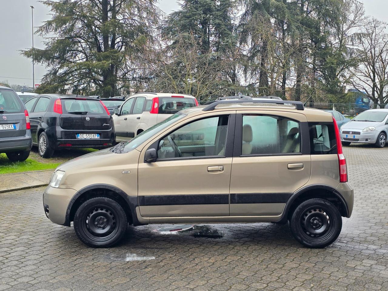 Fiat Panda 1.2 Climbing|Natural Power