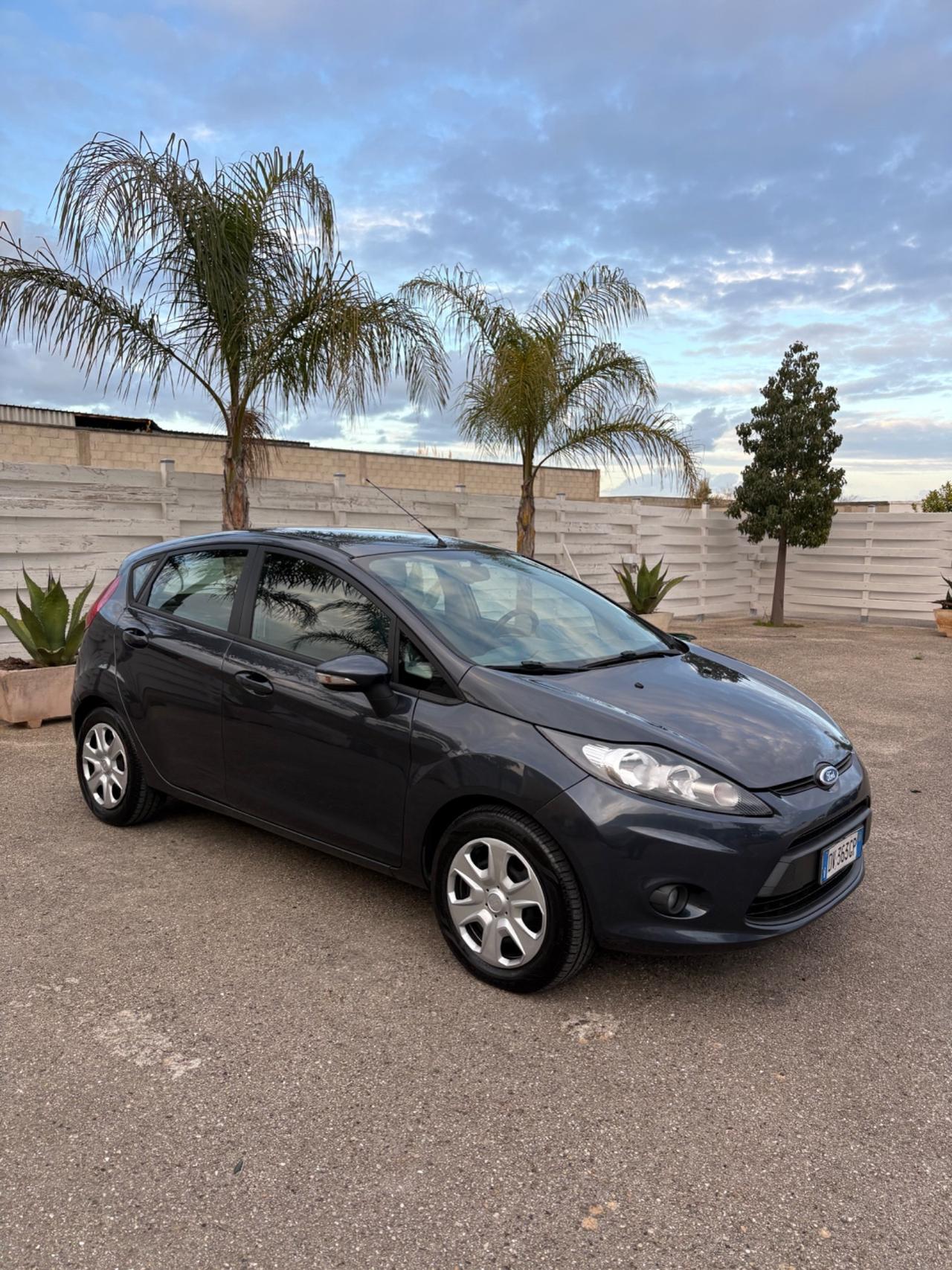 Ford Fiesta 1.4 TDCi 5p. - 2009