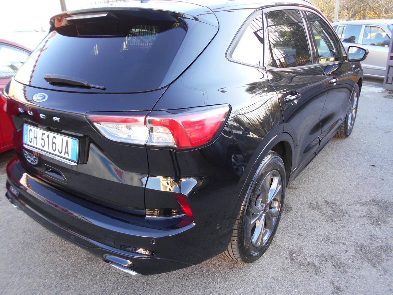 Ford Kuga 1.5 EcoBlue 120 CV aut. 2WD ST-Line