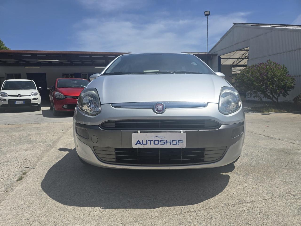 Fiat Punto Evo Punto Evo 1.2 5 porte Active