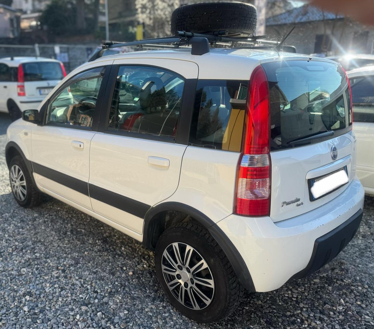 Fiat Panda 1.2 4x4 benzina e gpl