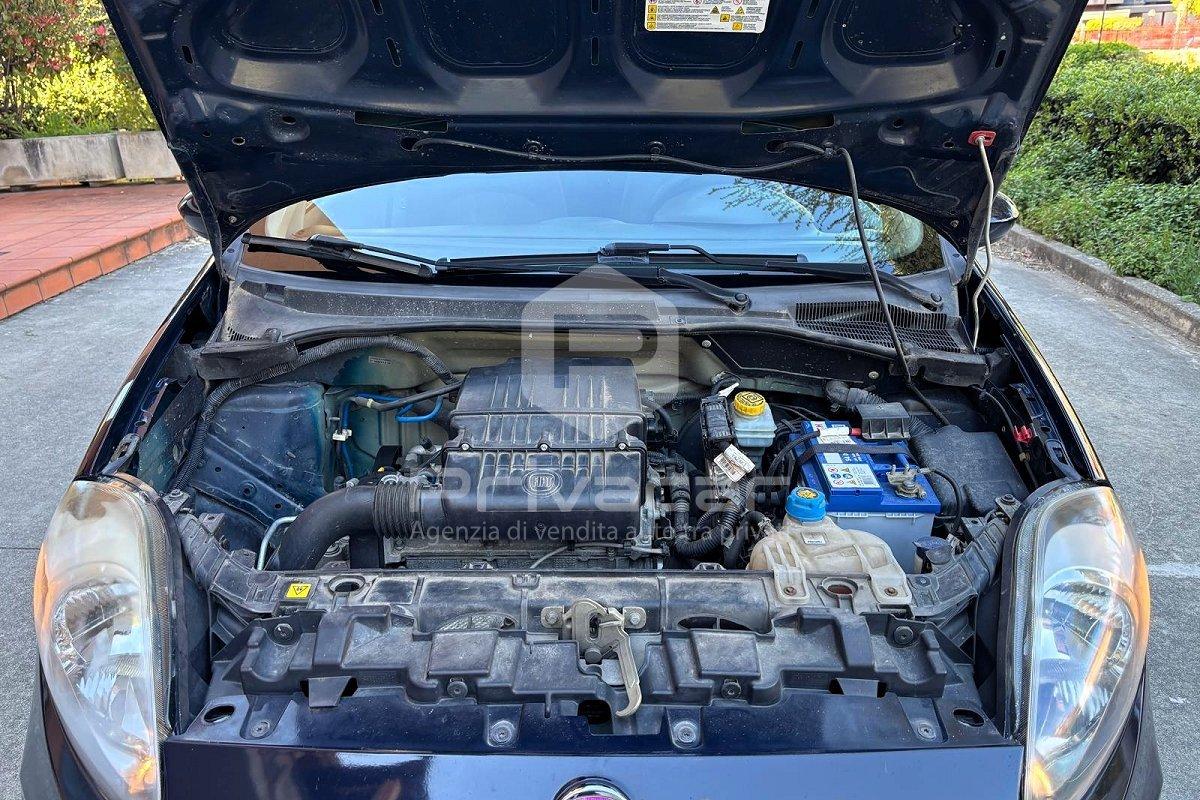 FIAT Punto 1.2 8V 5 porte Street