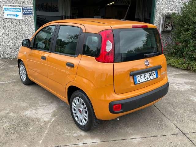 Fiat Panda Panda 1.0 FireFly Hybrid S&S IVA ESPOSTA