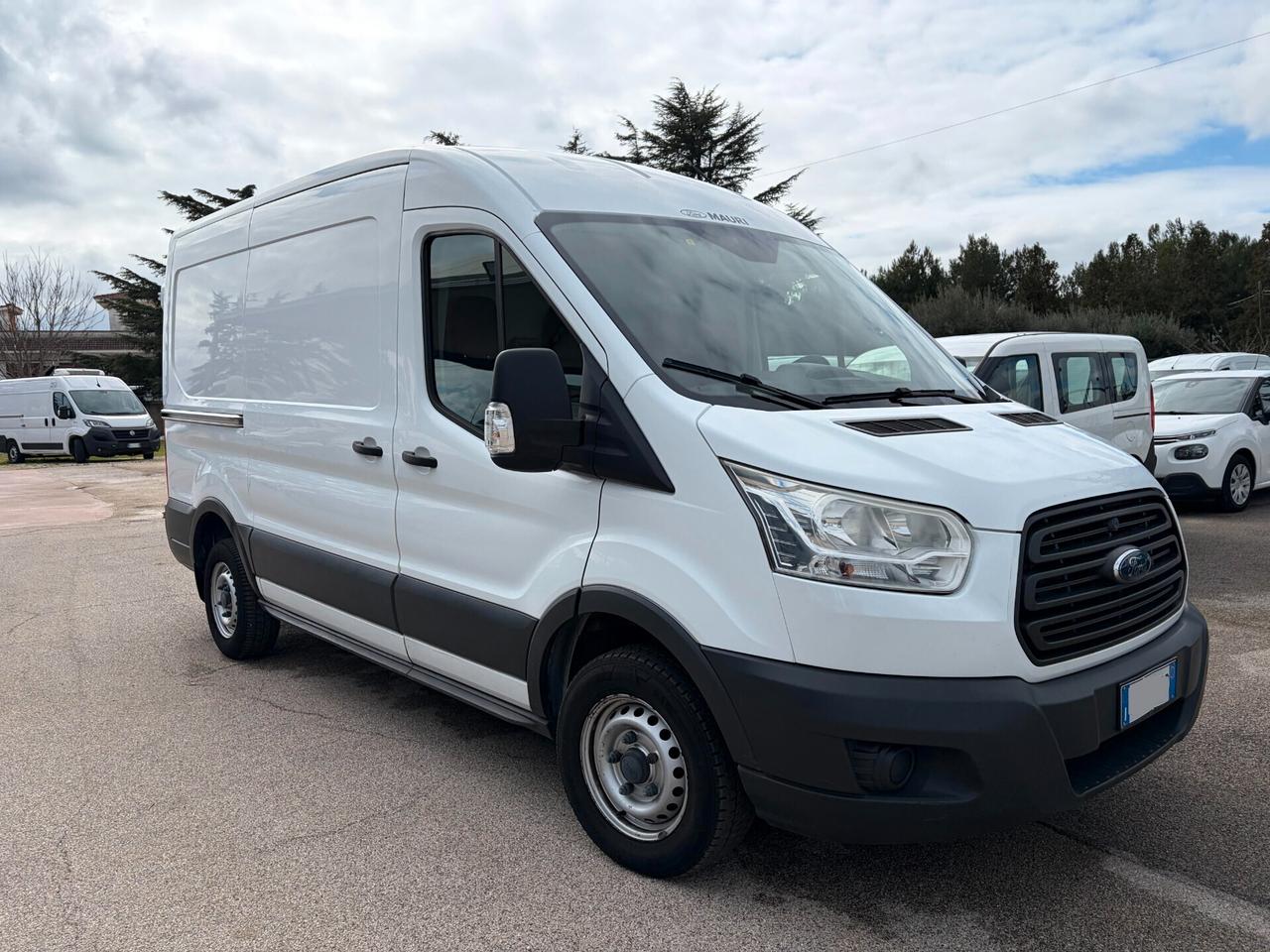 Ford Transit 290 2.2TDCi 100CV PL-TA Furgone Entry
