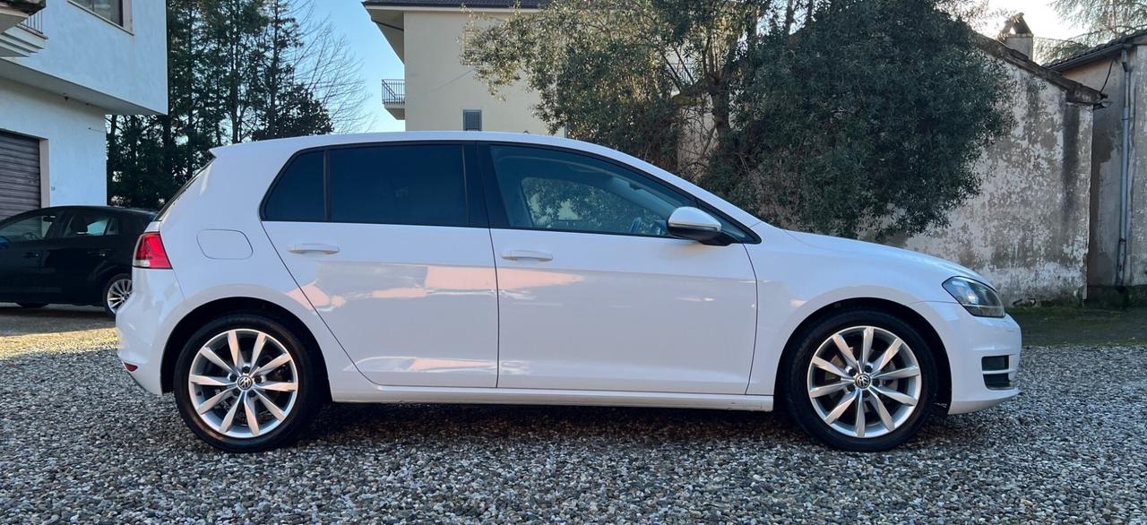 Volkswagen Golf 1.6 TDI 5p. Highline BlueMotion Te