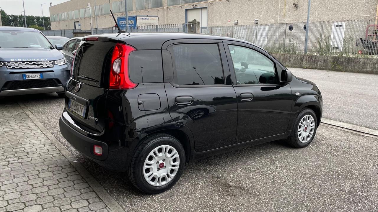 Fiat Panda 1.0 FireFly S&S Hybrid Easy NEOPATENTATO