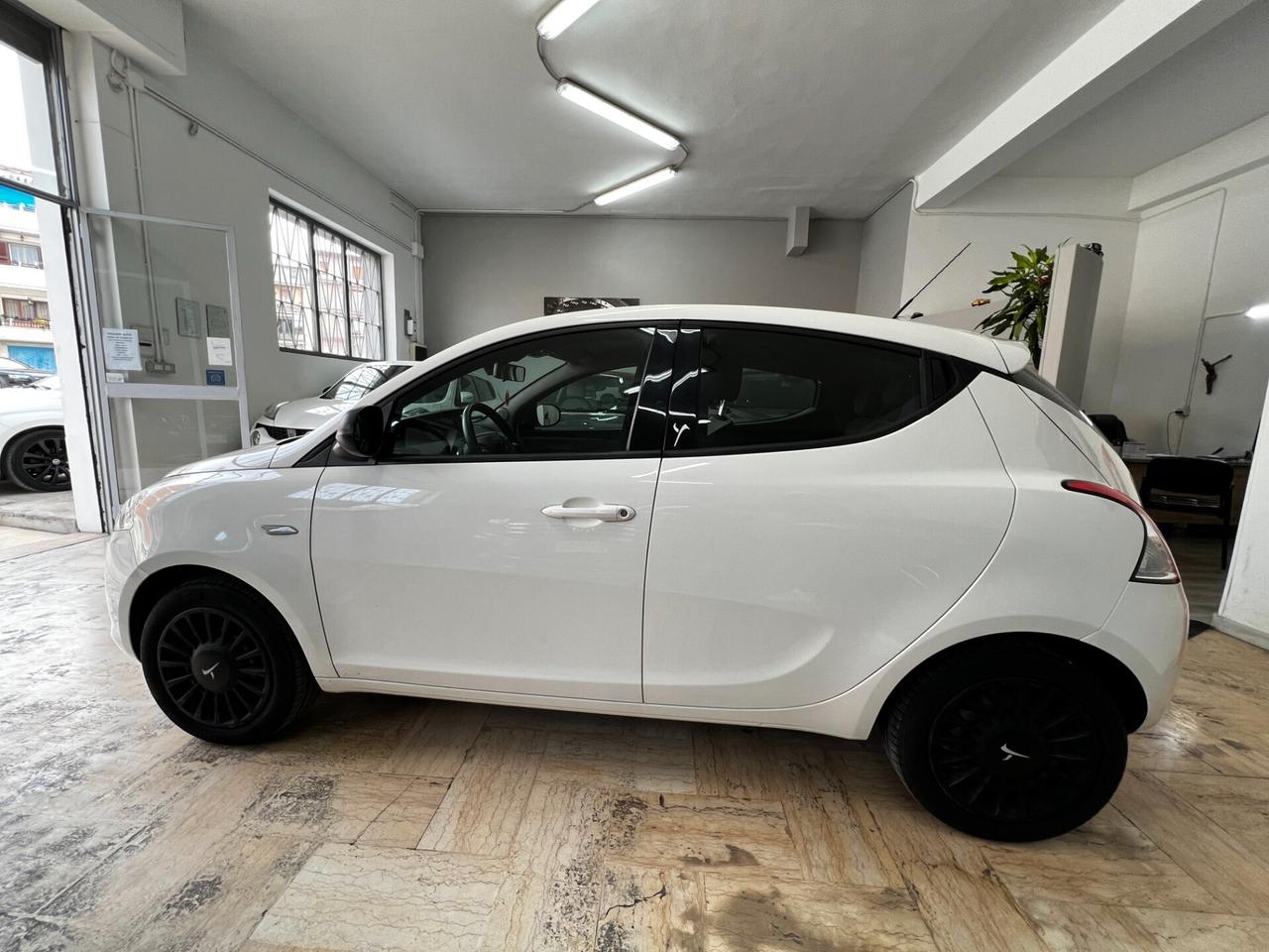 Lancia Ypsilon 1.2 69 CV 5 porte Elefantino