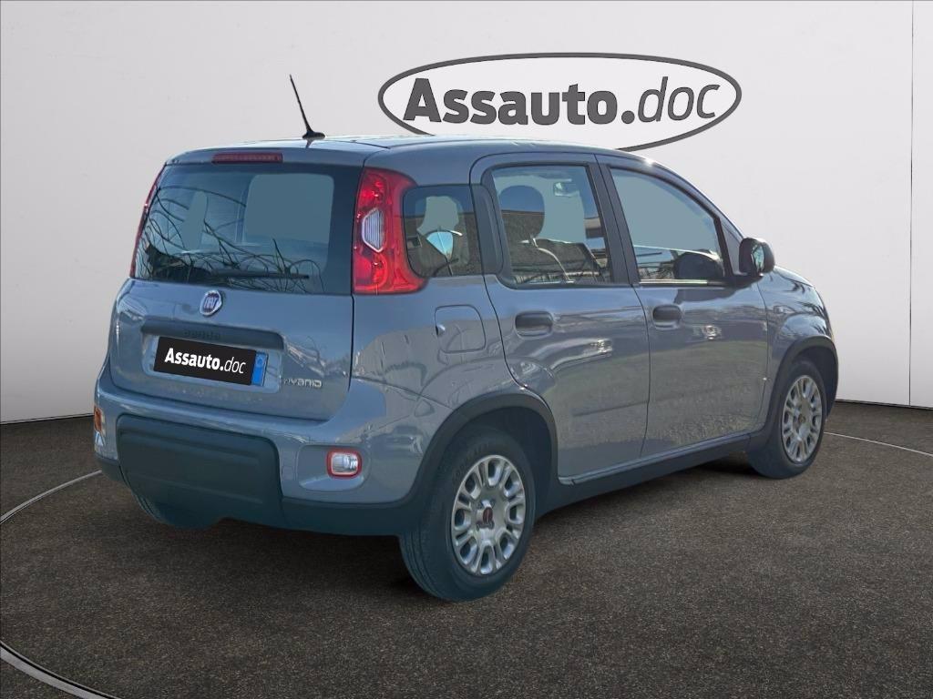 FIAT Panda 1.0 firefly hybrid s&s 70cv del 2023