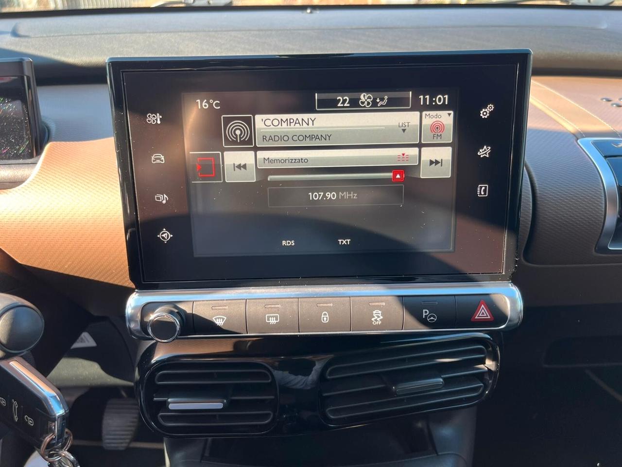 Citroen C4 Cactus BlueHDi 100 Rip Curl