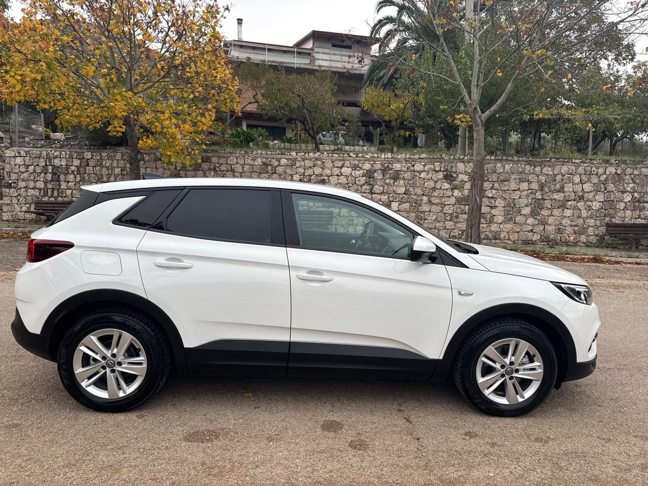 Opel Grandland X 1.5 diesel Ecotec Start&Stop Business