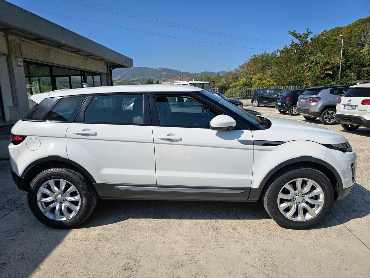 Land Rover Range Evoque 2.0 TD4 150 CV 5p. Business Edition Pure