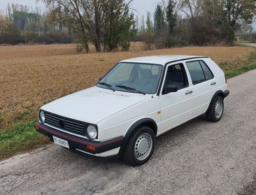 Volkswagen Golf 1.8 Syncro 5p.