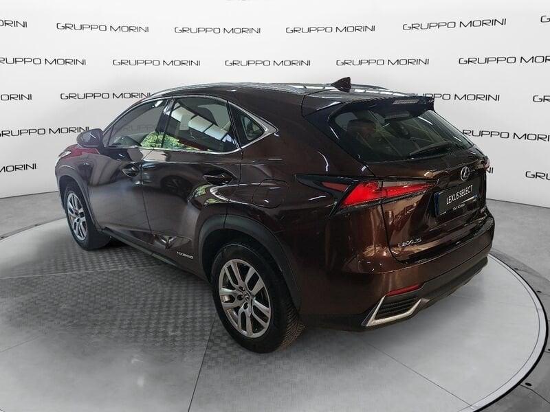 Lexus NX Hybrid 4WD Executive