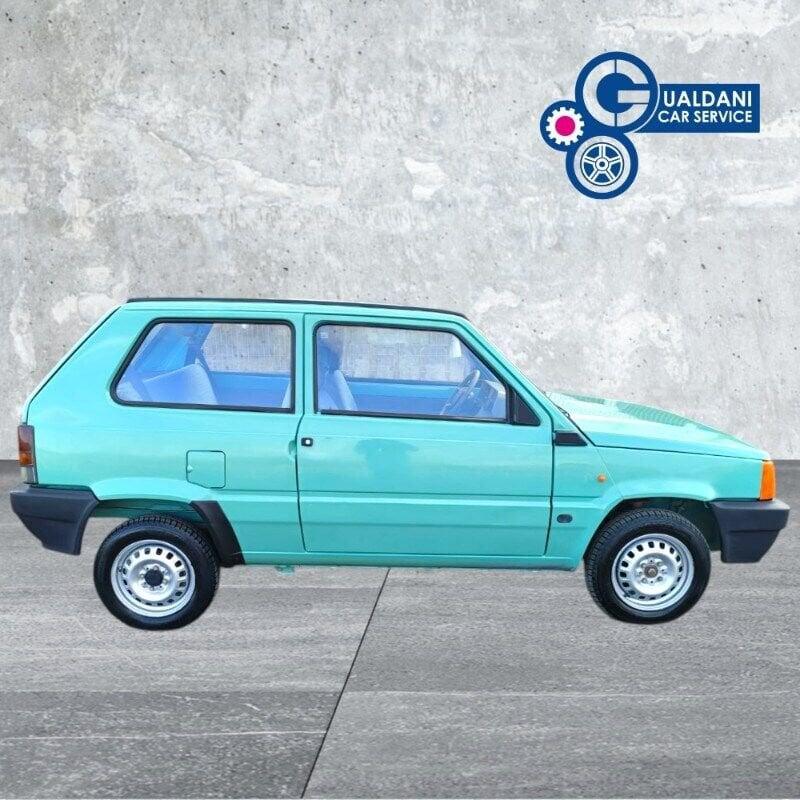 FIAT Panda 1100 i.e. cat Young