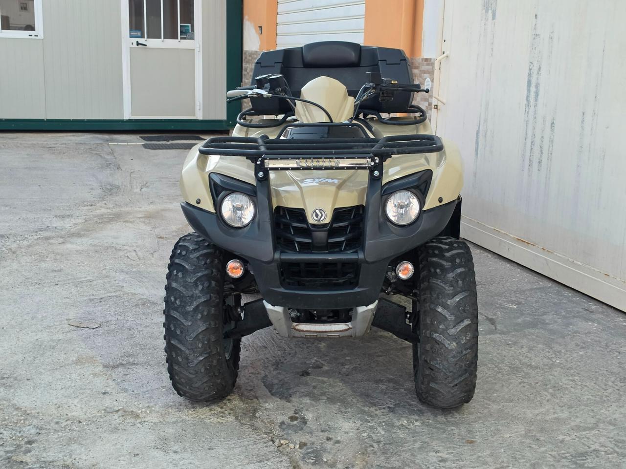 Sym Quad Raider 600 LE