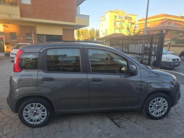 FIAT Panda 1.0 FireFly S&S Hybrid Easy NO OBBLIGO DI FINANZ.!