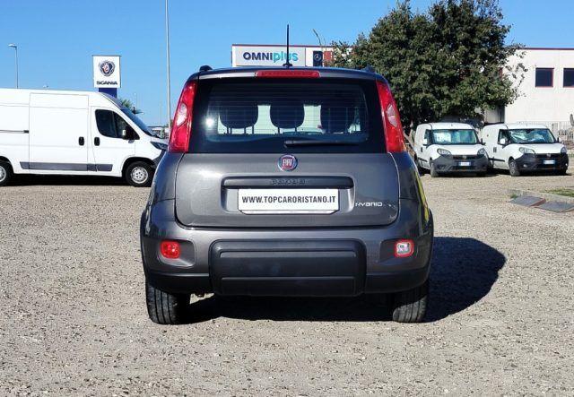 FIAT Panda 1.0 Hybrid 24 MESI GARANZIA