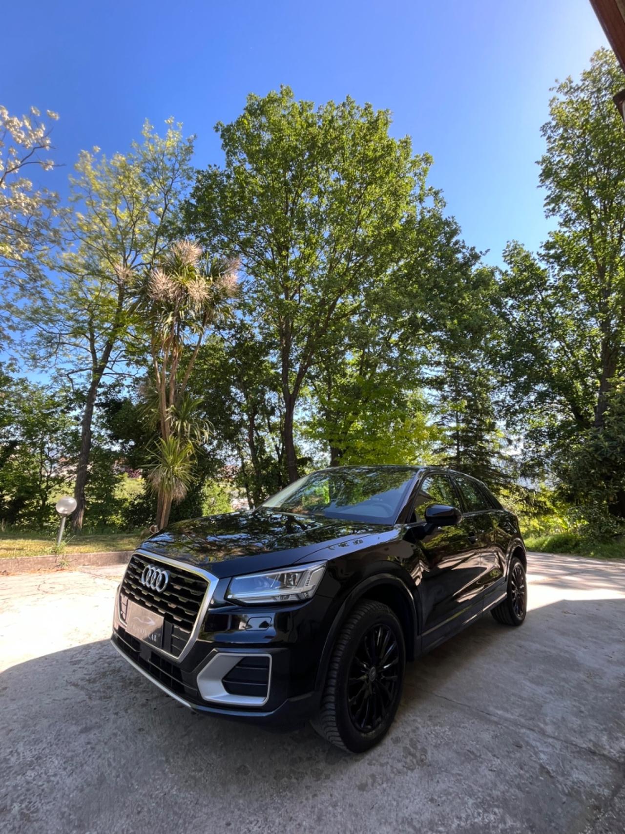 Audi Q2 1.6 TDI SPORT EDITION GARANTITA 12 MESI