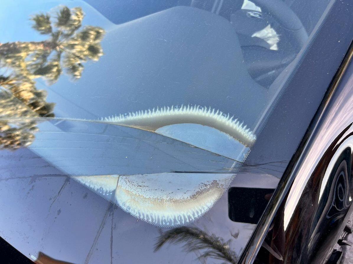 Opel Corsa 1.2 100 CV Edition