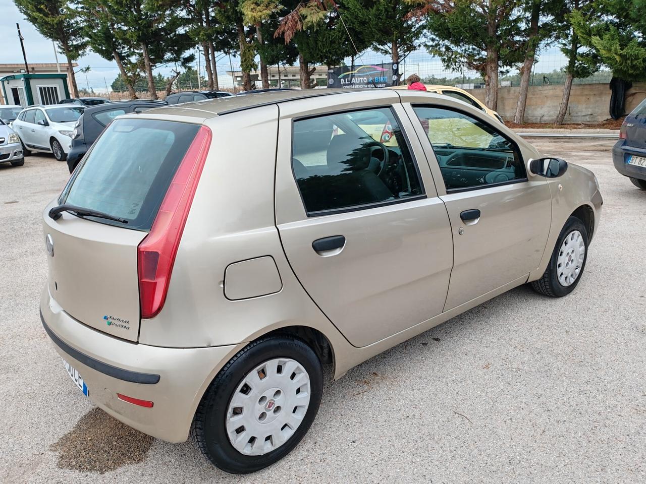 Fiat Punto Classic 1.2 5 porte Natural Power Active