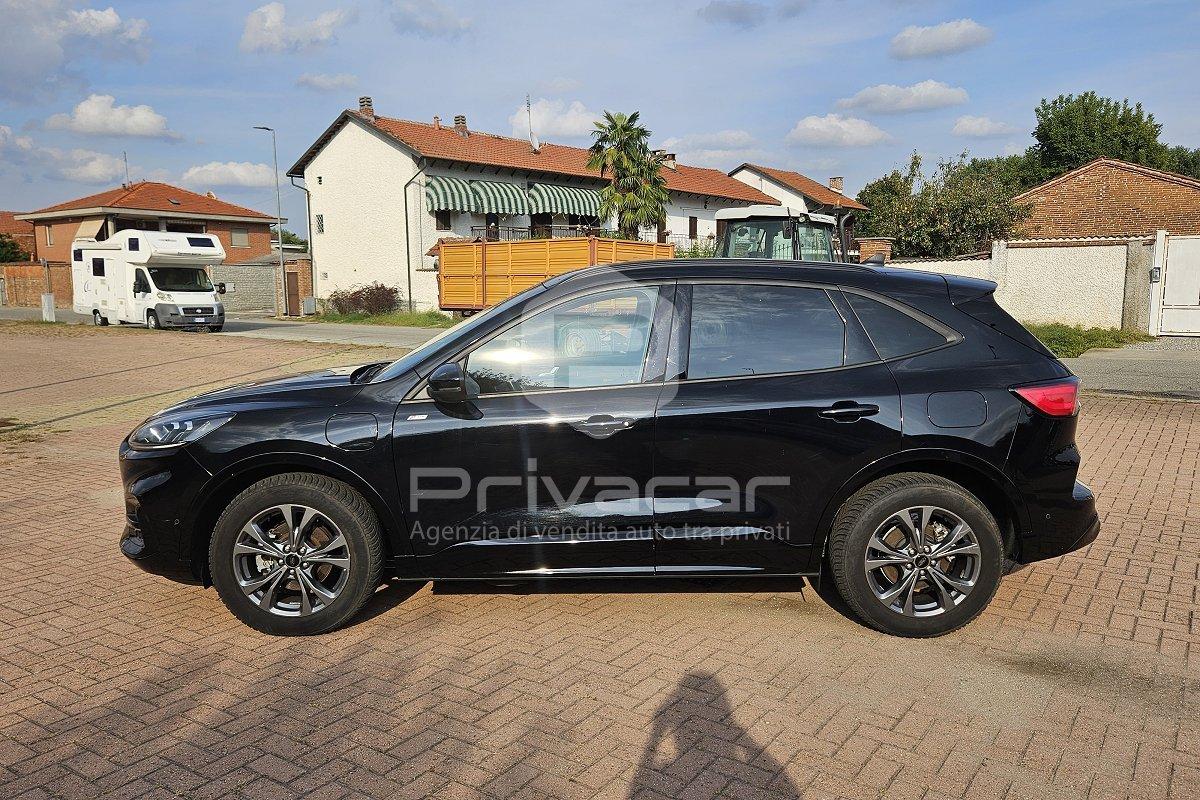 FORD Kuga 2.5 Plug In Hybrid 225 CV CVT 2WD ST-Line Business