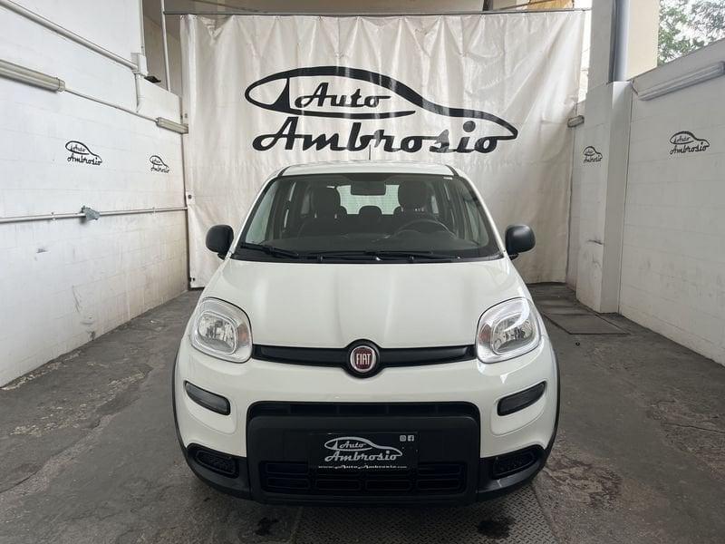 FIAT Panda Panda 1.0 firefly hybrid s&s 70cv