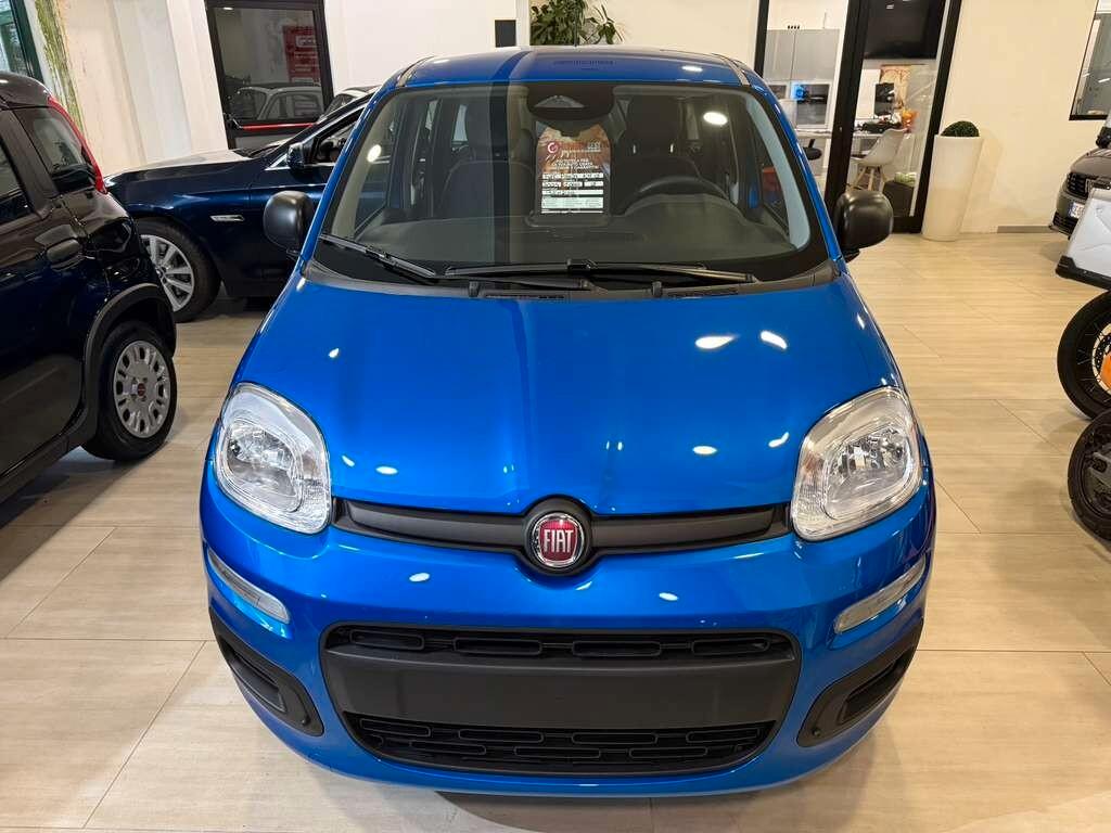 Fiat Panda 1.0 FireFly Hybrid PREZZO REALE