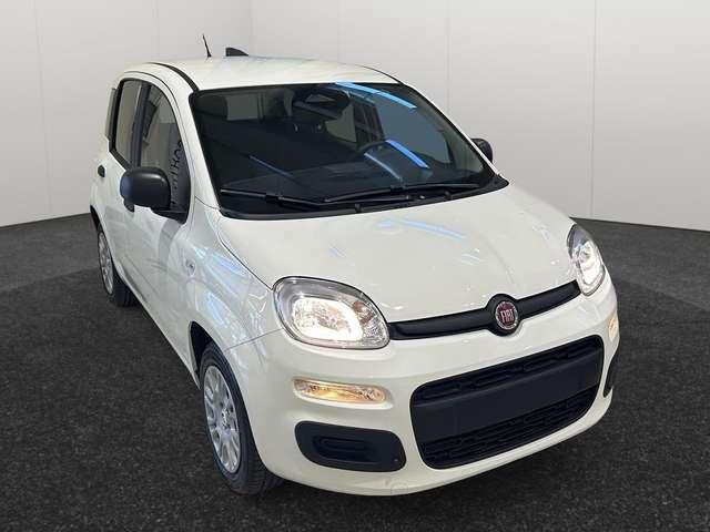Fiat Panda Panda 1.0 hybrid Easy *KM0*