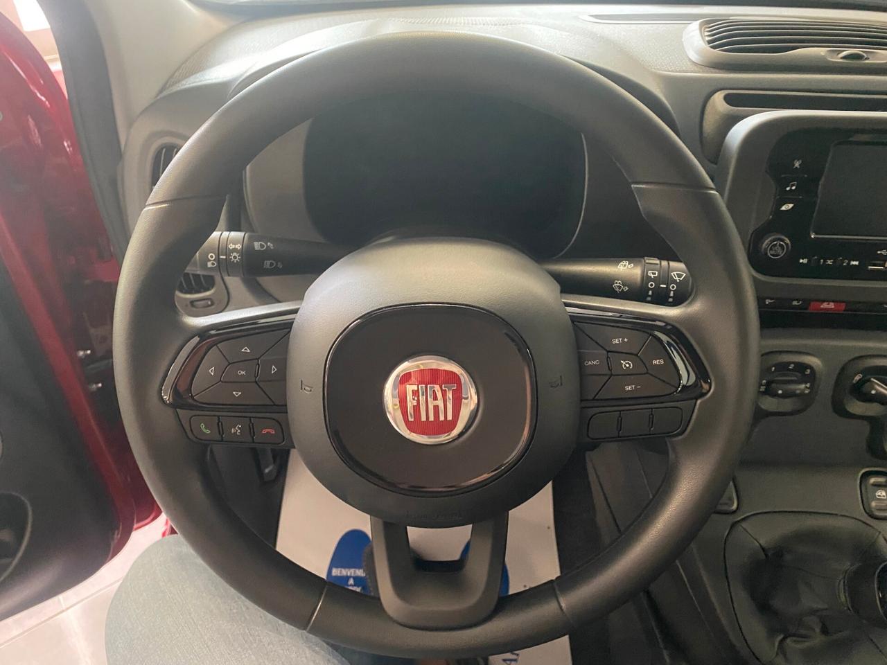 Fiat Panda Pandina 1.0 FireFly 65 CV Hybrid Icon