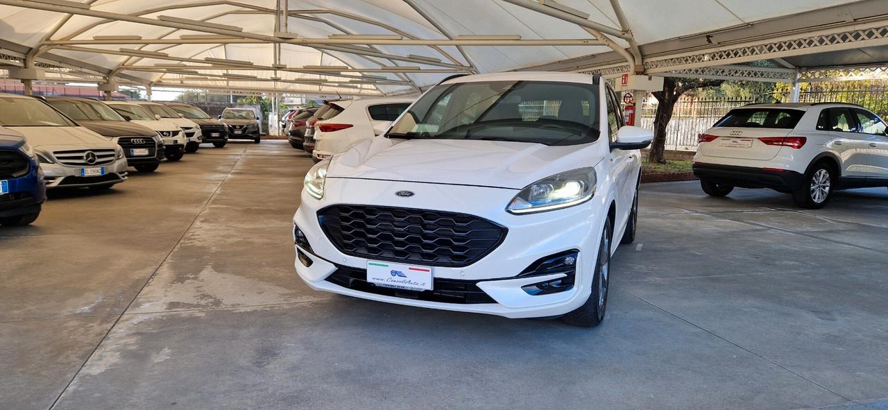 Ford Kuga 1.5 EcoBlue 120cv ST-Line X