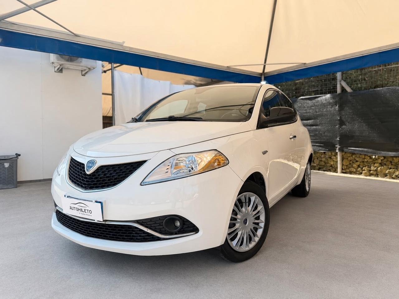 Lancia Ypsilon 1.3 MJT 16V 95 CV 5 porte S&S Platinum