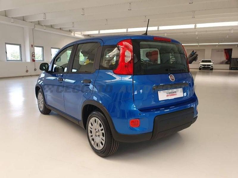 FIAT Panda Panda 1.0 70cv Hybrid Panda