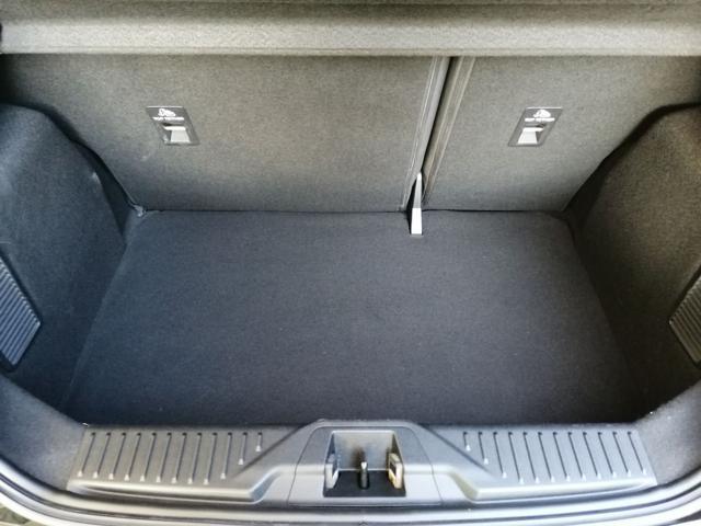 FORD Fiesta 1.0 Ecoboost Hybrid 125 CV 5 porte Titanium