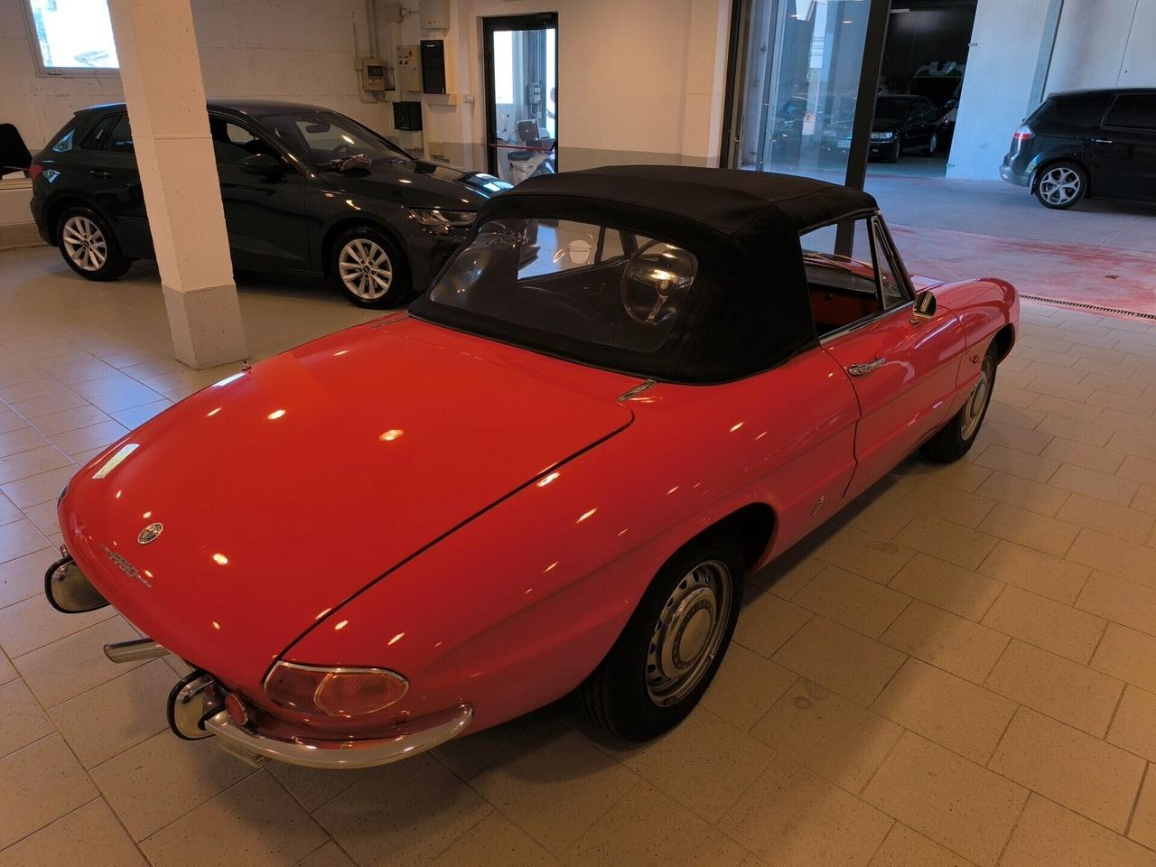 Alfa Romeo Spider