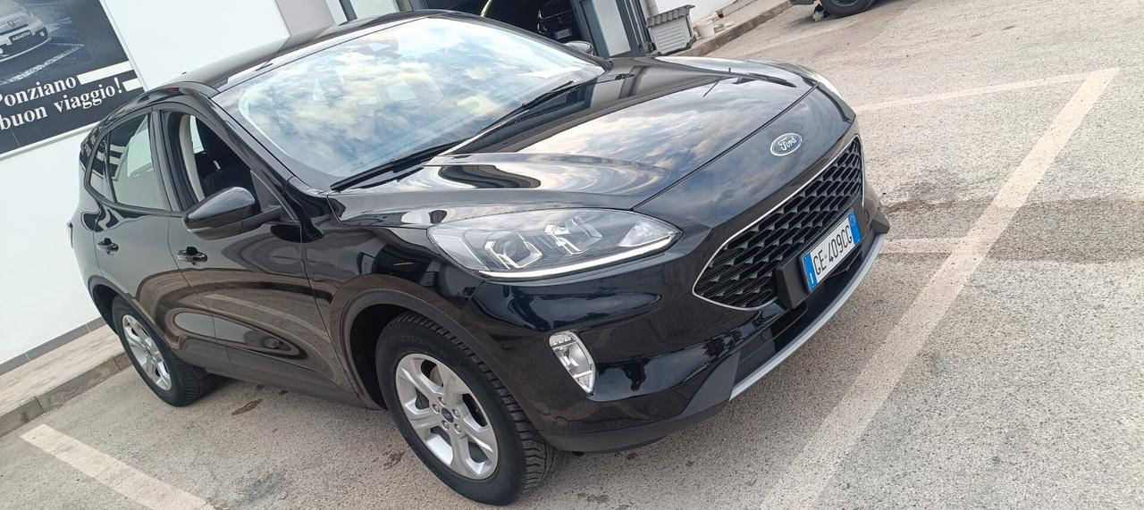 Ford Kuga 1.5 EcoBlue 120 CV 2WD Titanium Business