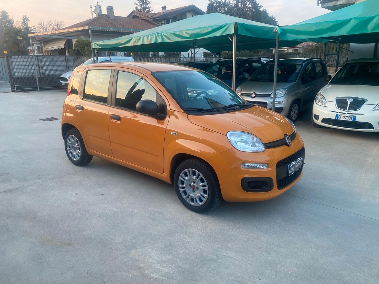 Fiat Panda 1.2 Easy