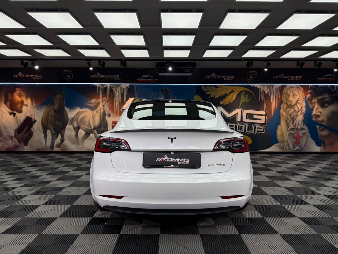 Tesla Model 3 Long Range AWD Performance (522)