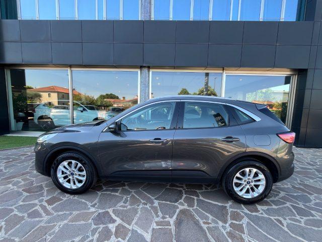 FORD Kuga 1.5 EcoBlue 120CV AUTOMATICA TITANIUM