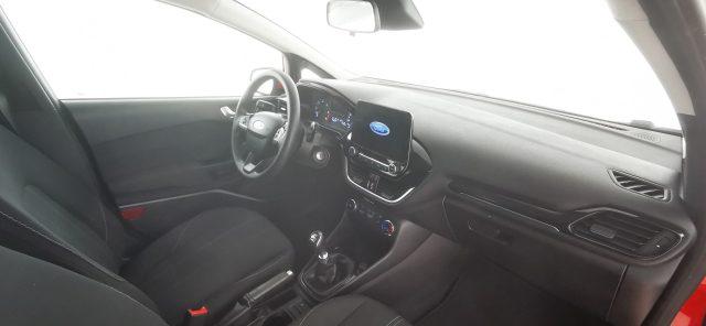 FORD Fiesta 1.5 EcoBlue 5 porte Plus