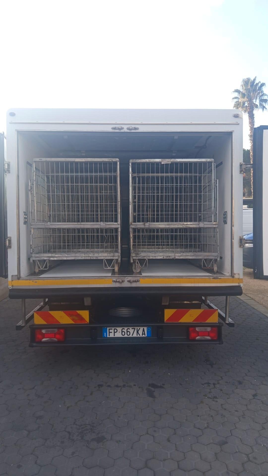 IVECO DAILY 72C18 ISOTERMICO FRIGO – ATP RRC – SURGELATI -30°C