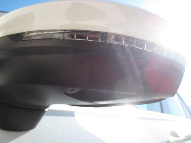 Volkswagen Tiguan 2.0 TDI 190 CV SCR DSG 4MOTION Advanced ...FULLL