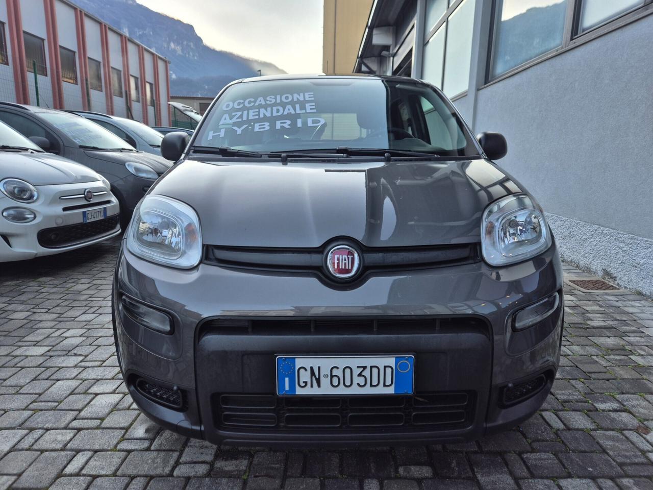 Fiat Panda 1.0 Hybrid FireFly S&S 70 CV