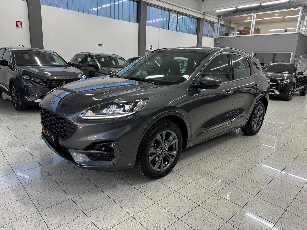 Kuga 2.0EcoBlue auto ST-Line PARI NUOVO!!!!